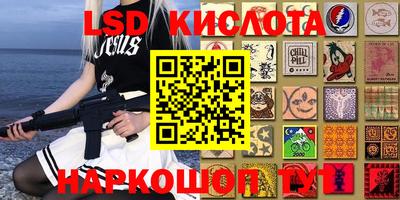 стаф Будённовск