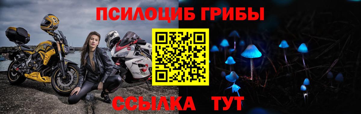 Сатка  где продают   Вход с VPN  Псилоцибиновые грибы Psilocybine cubensis 